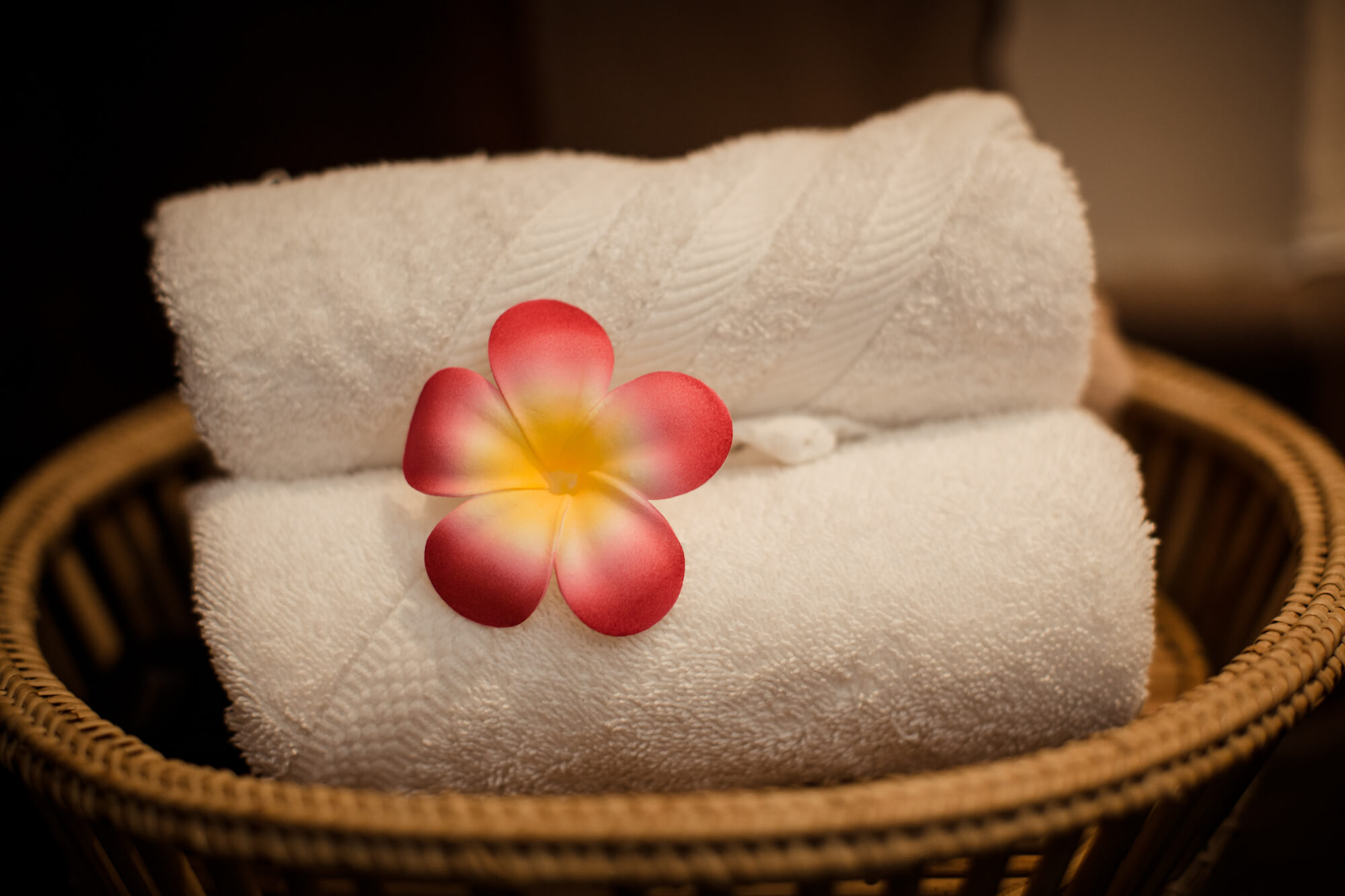 Anchan Casa Thai